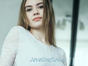 Jevelineflower