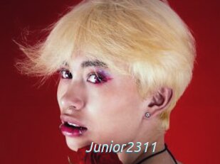 Junior2311