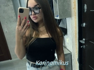 Karinamikus