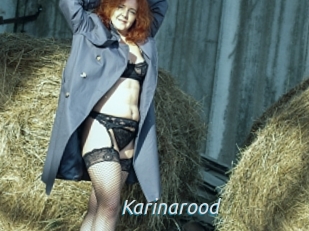 Karinarood