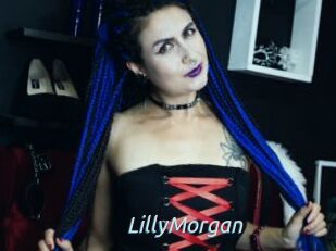 LillyMorgan