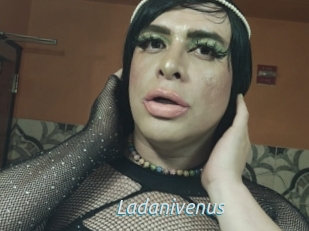 Ladanivenus
