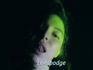 Leilabodge