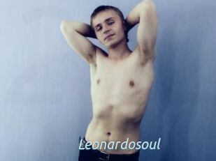 Leonardosoul