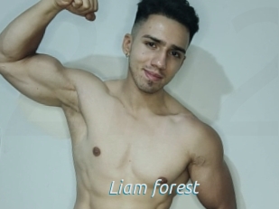 Liam_forest