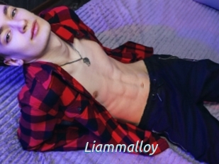 Liammalloy