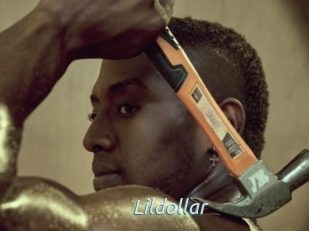 Lildollar