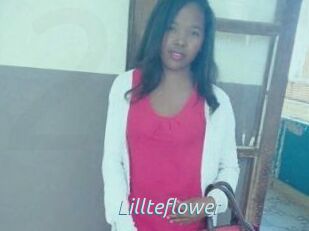 Lillteflower