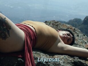 Lilyrosas