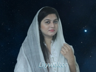 Lilywaltor
