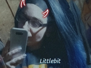 Littlebit
