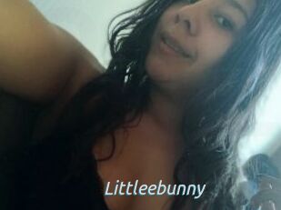 Littleebunny