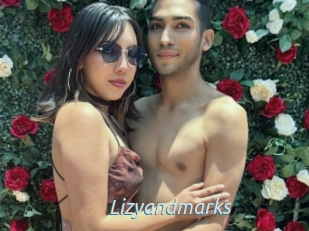 Lizyandmarks