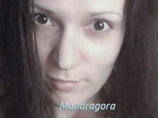 Mandragora