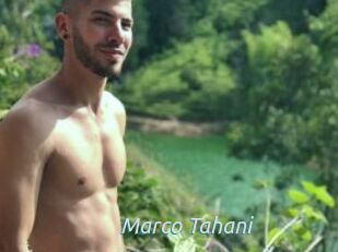 Marco_Tahani