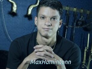 MaxHamintonn