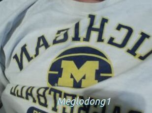 Meglodong1