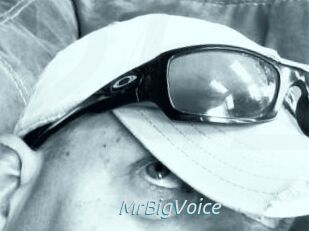 MrBigVoice