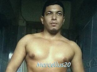 Marcellus20