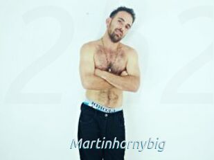 Martinhornybig