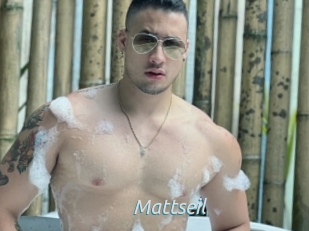 mattseil 2 hot 2 cam