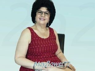 Mayflower77