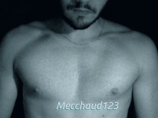 Mecchaud123