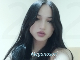 Meganosori