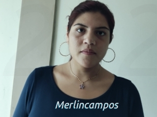 Merlincampos