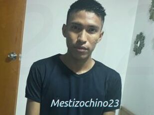 Mestizochino23