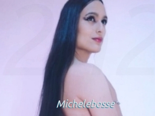 Michelebosse