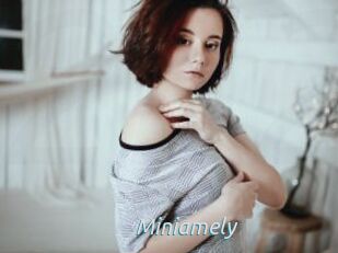 Miniamely