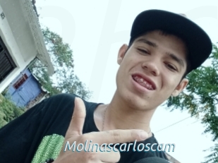 Molinascarloscam