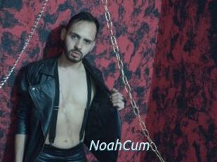 NoahCum