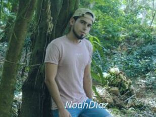 NoahDiaz