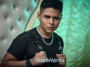 NoahHarris