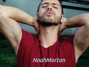 NoahMorton
