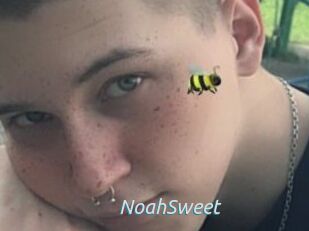 NoahSweet
