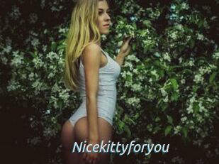 Nicekittyforyou