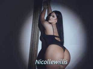 nicollewillis 2 hot 2 cam
