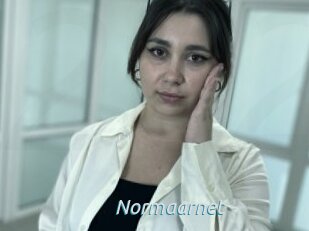 Normaarnet