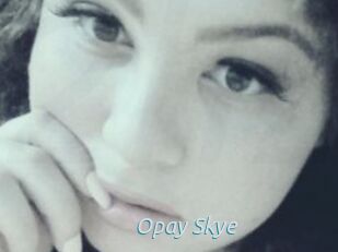 Opay_Skye