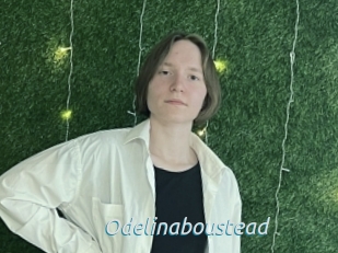 Odelinaboustead