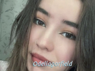 Odellagarfield