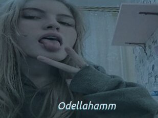 Odellahamm