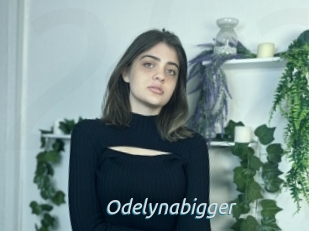 Odelynabigger