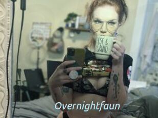 Overnightfaun