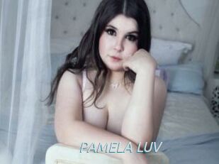 PAMELA_LUV