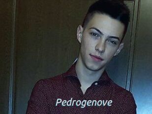 Pedrogenove