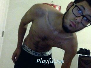 PlayfulJoe
